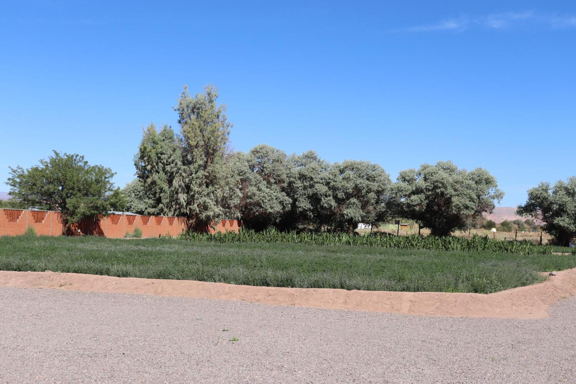 Solor Atacamatoconar Bed & Breakfast エクステリア 写真